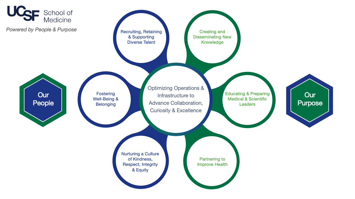 SOM Strategic Plan Graphic